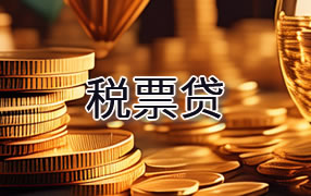 渭南税票贷